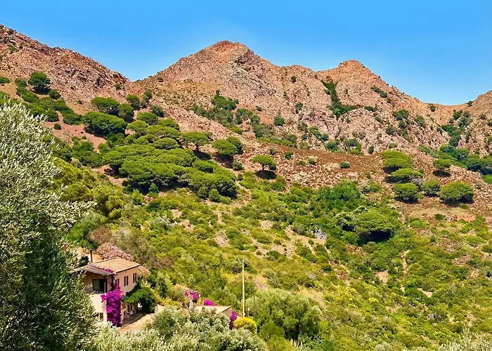 Aria Di Collina - Isola D'elba *