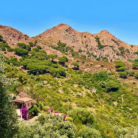 Aria Di Collina - Isola D'elba *